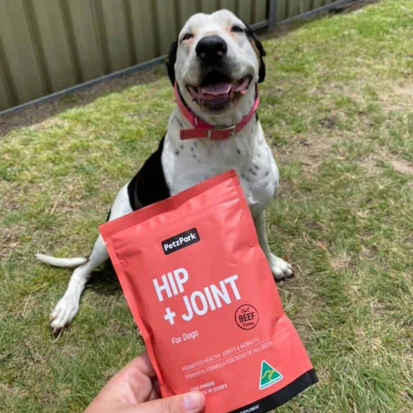 Hip + Joint for Dogs