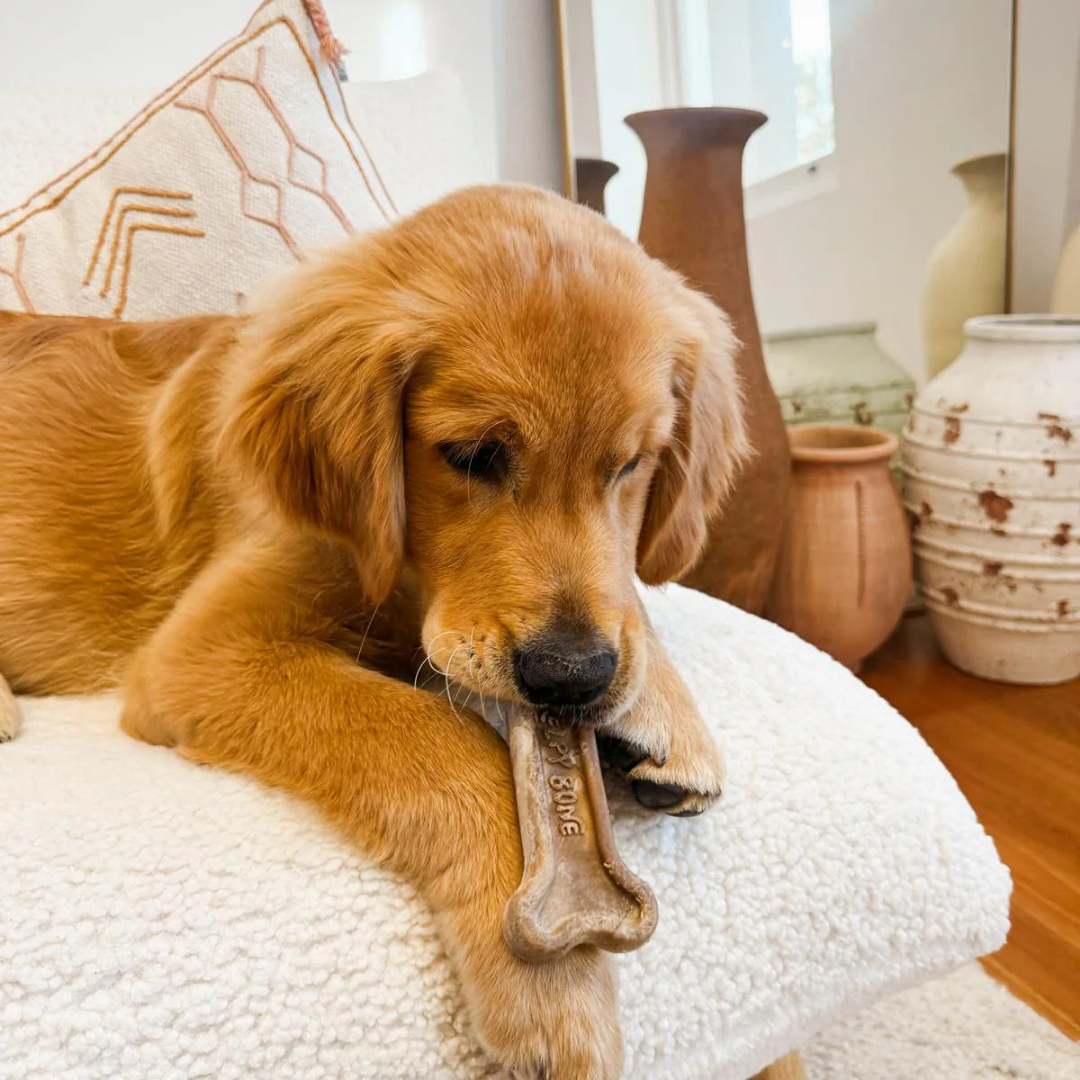 Kelpy Bone - Sustainable Chew