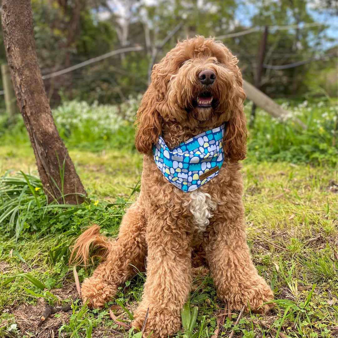 Outback Tails Dog Bandana - Puli Puli