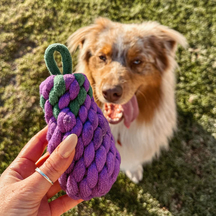 Country Tails Rope Toy - Eggplant