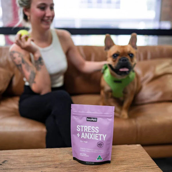 Stress + Anxiety for Dogs