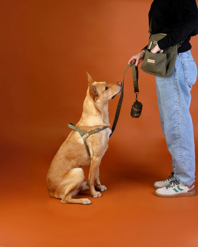 Outback Tails Waxed Canvas Walking Satchel - Green