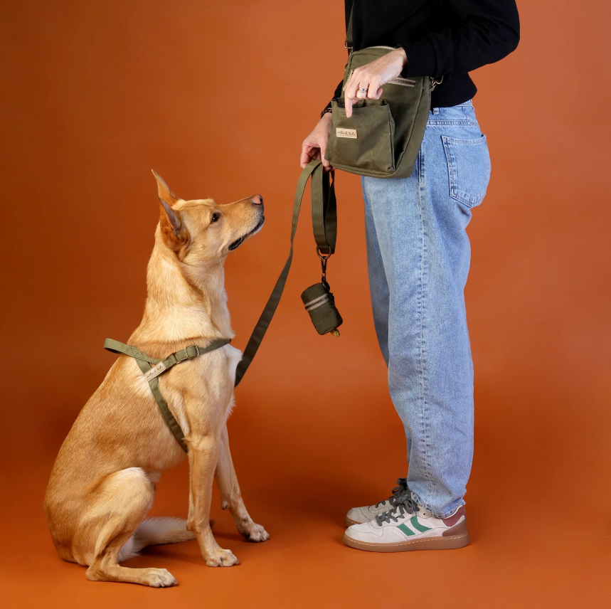 Outback Tails Waxed Canvas Walking Satchel - Green