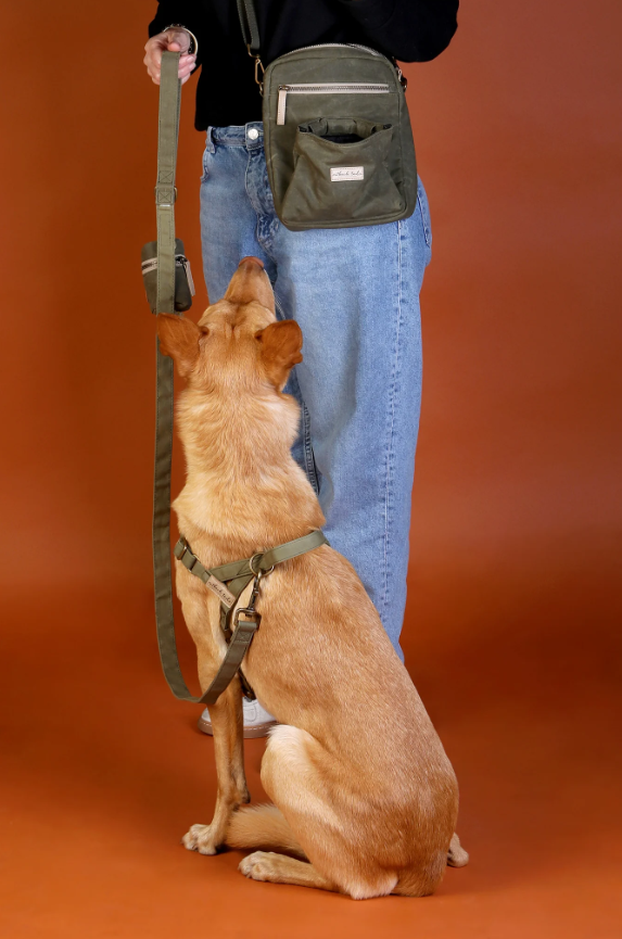 Outback Tails Waxed Canvas Walking Satchel