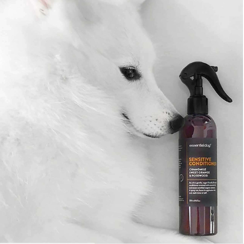 Sensitive Dog Conditioner (Chamomile, Orange & Rosewood)