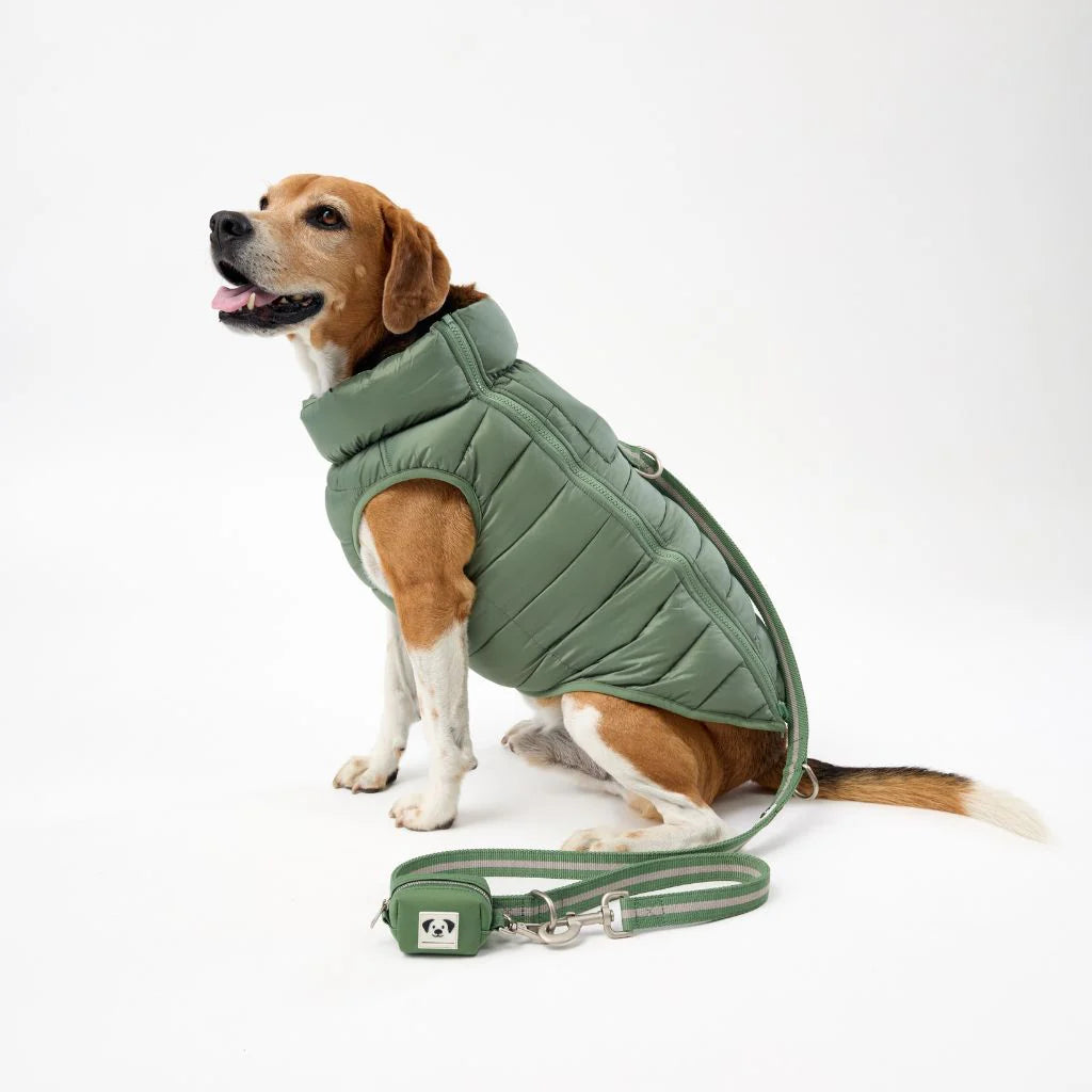 Snoot Style Reversible Winter Puffer - Green Print