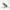 Snoot Style Reversible Winter Puffer - Green Print