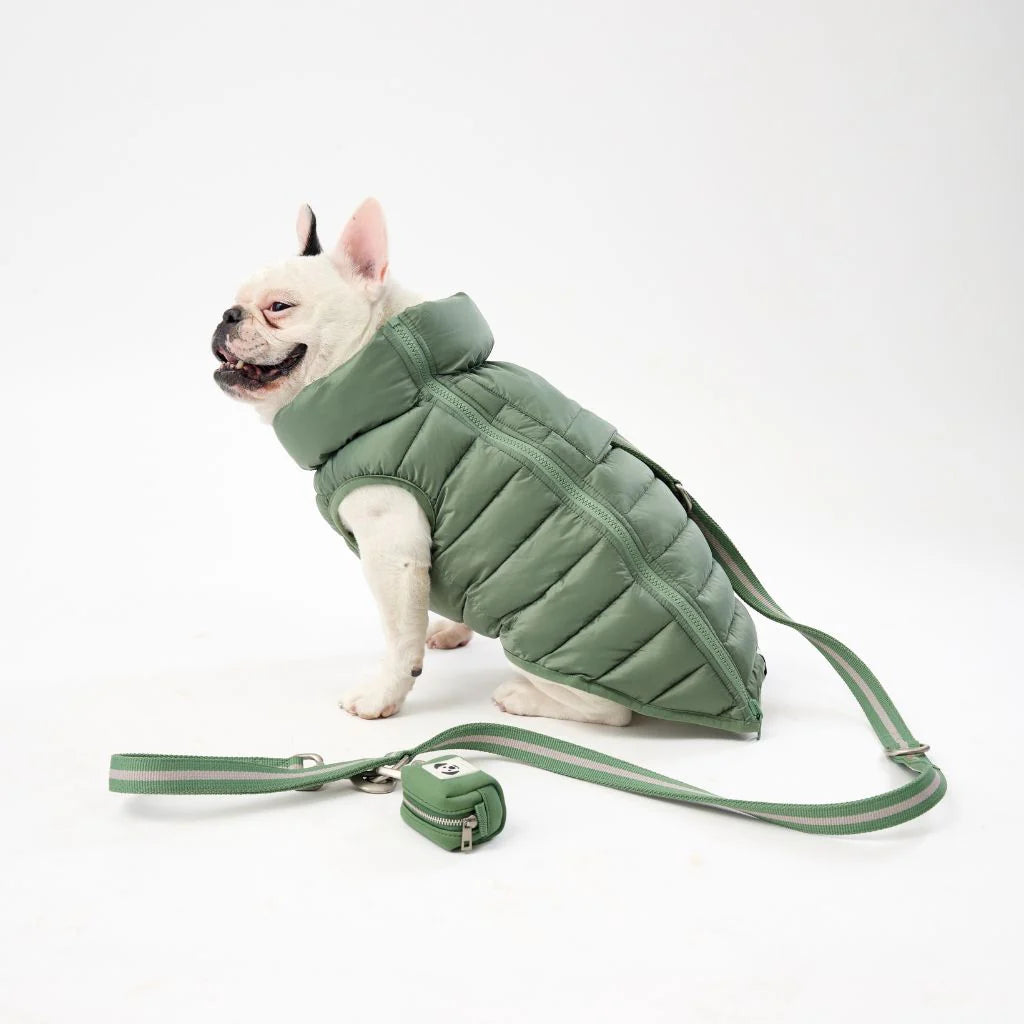 Snoot Style Reversible Winter Puffer - Green Print