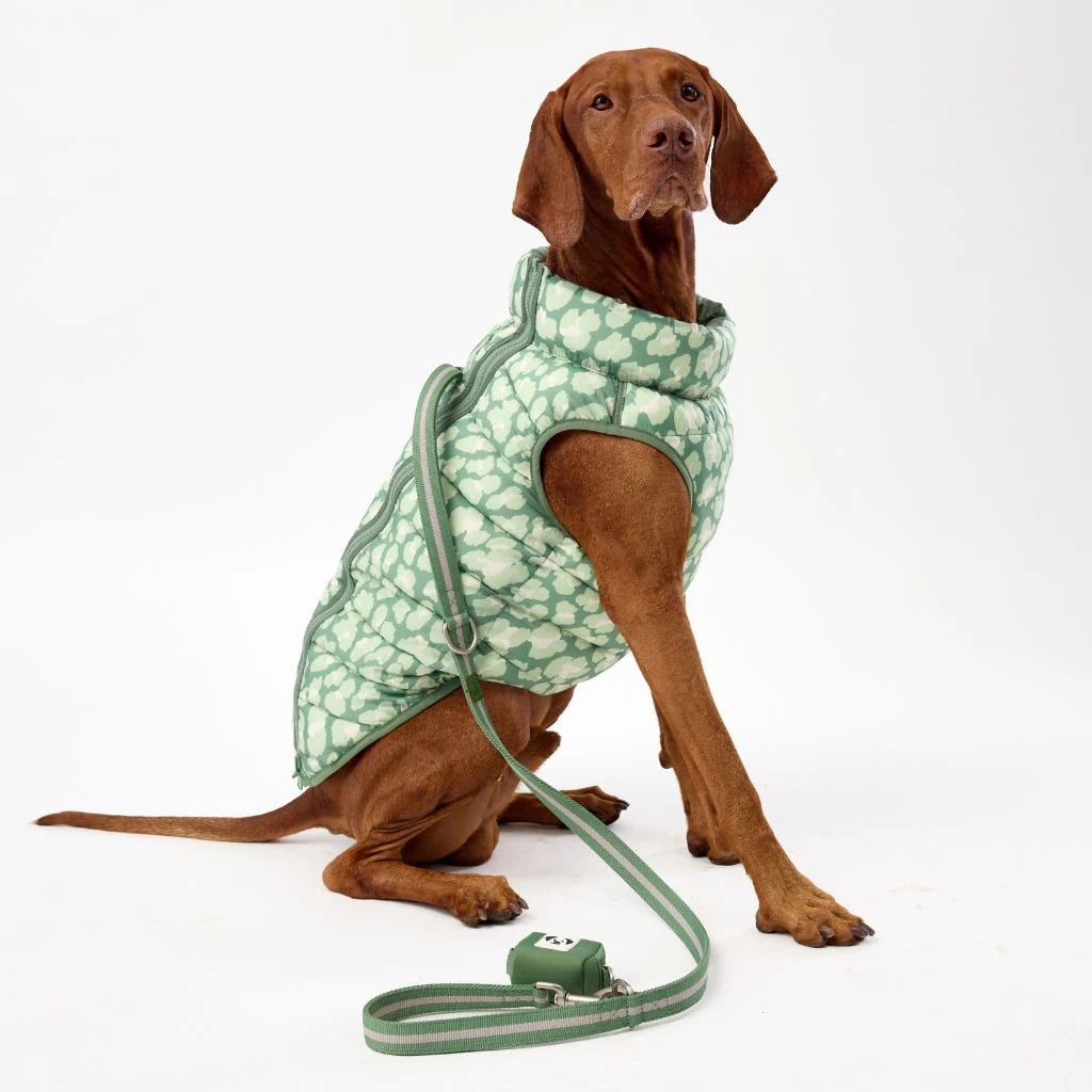 Snoot Style Reversible Winter Puffer - Green Print