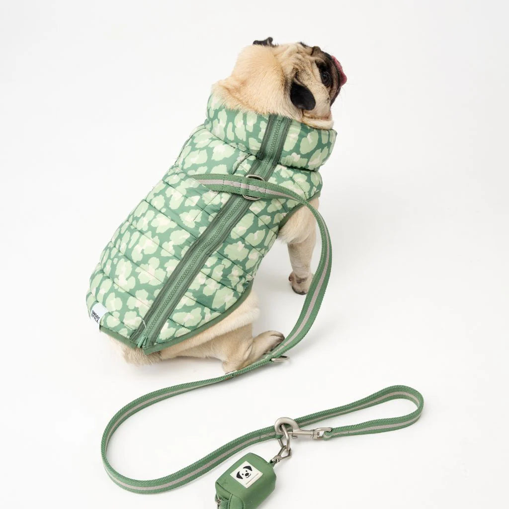 Snoot Style Reversible Winter Puffer - Green Print