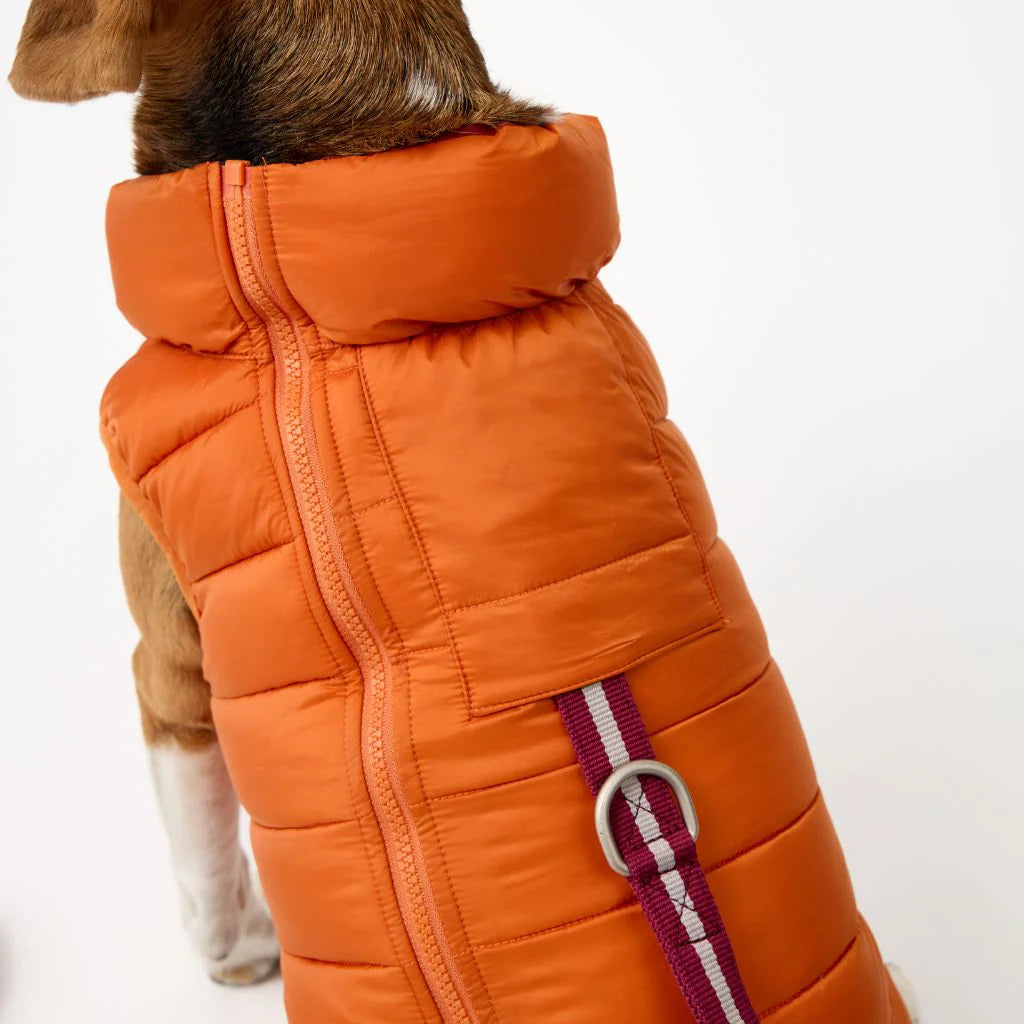 Snoot Style Reversible Winter Puffer - Orange & Red