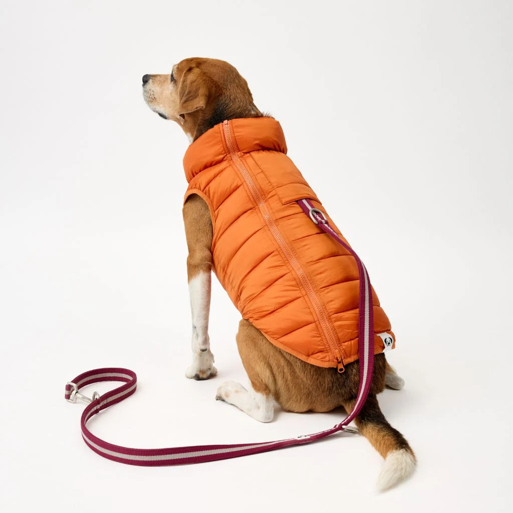 Snoot Style Reversible Winter Puffer - Orange & Red