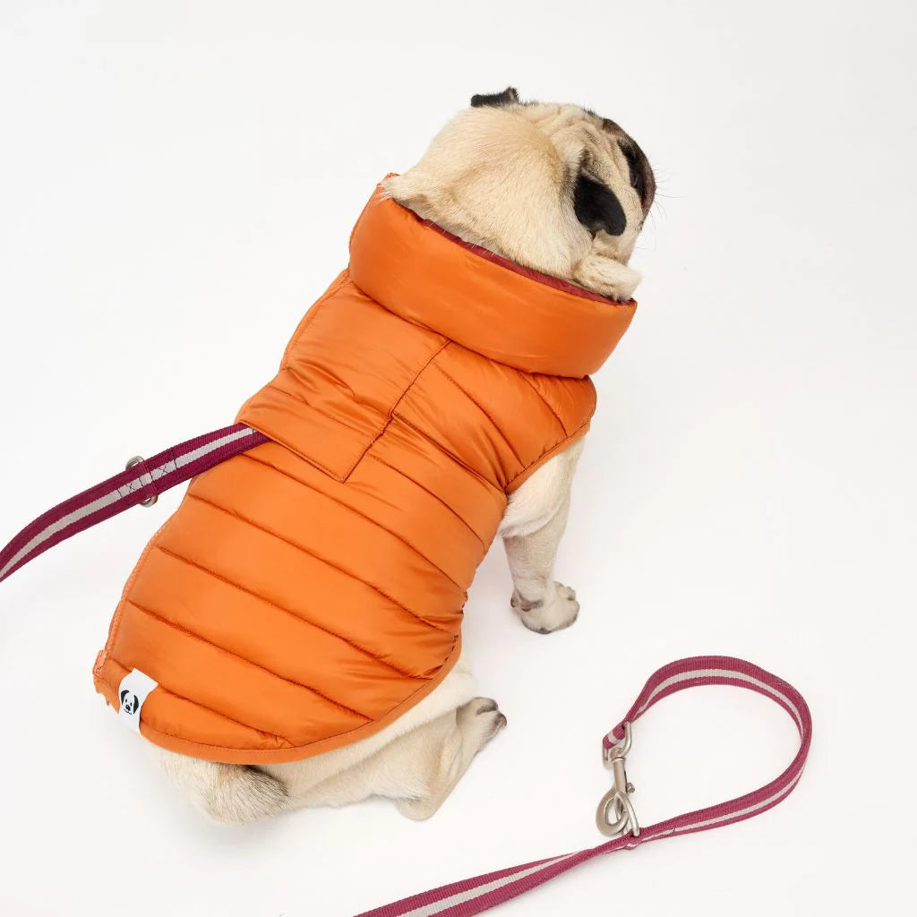 Snoot Style Reversible Winter Puffer - Orange & Red