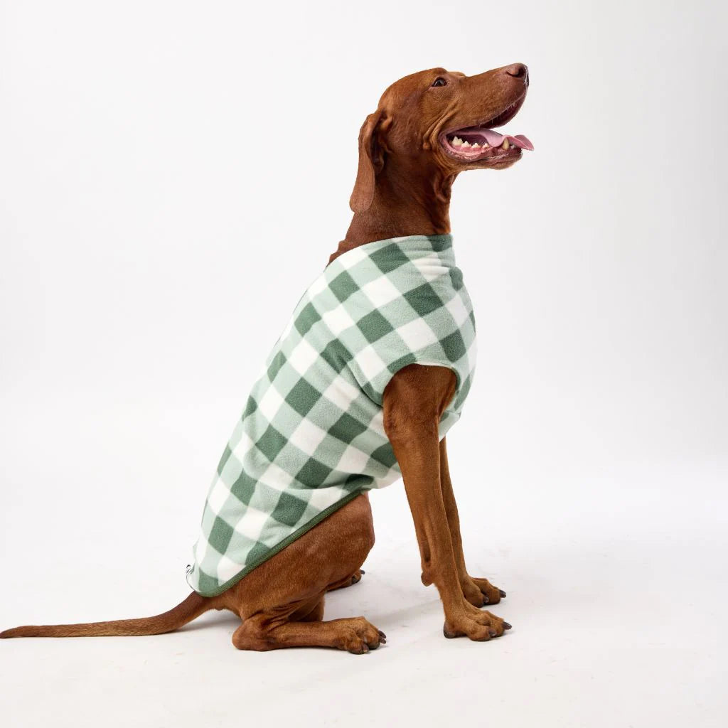 Floofy Fleece Dog Coat | Green