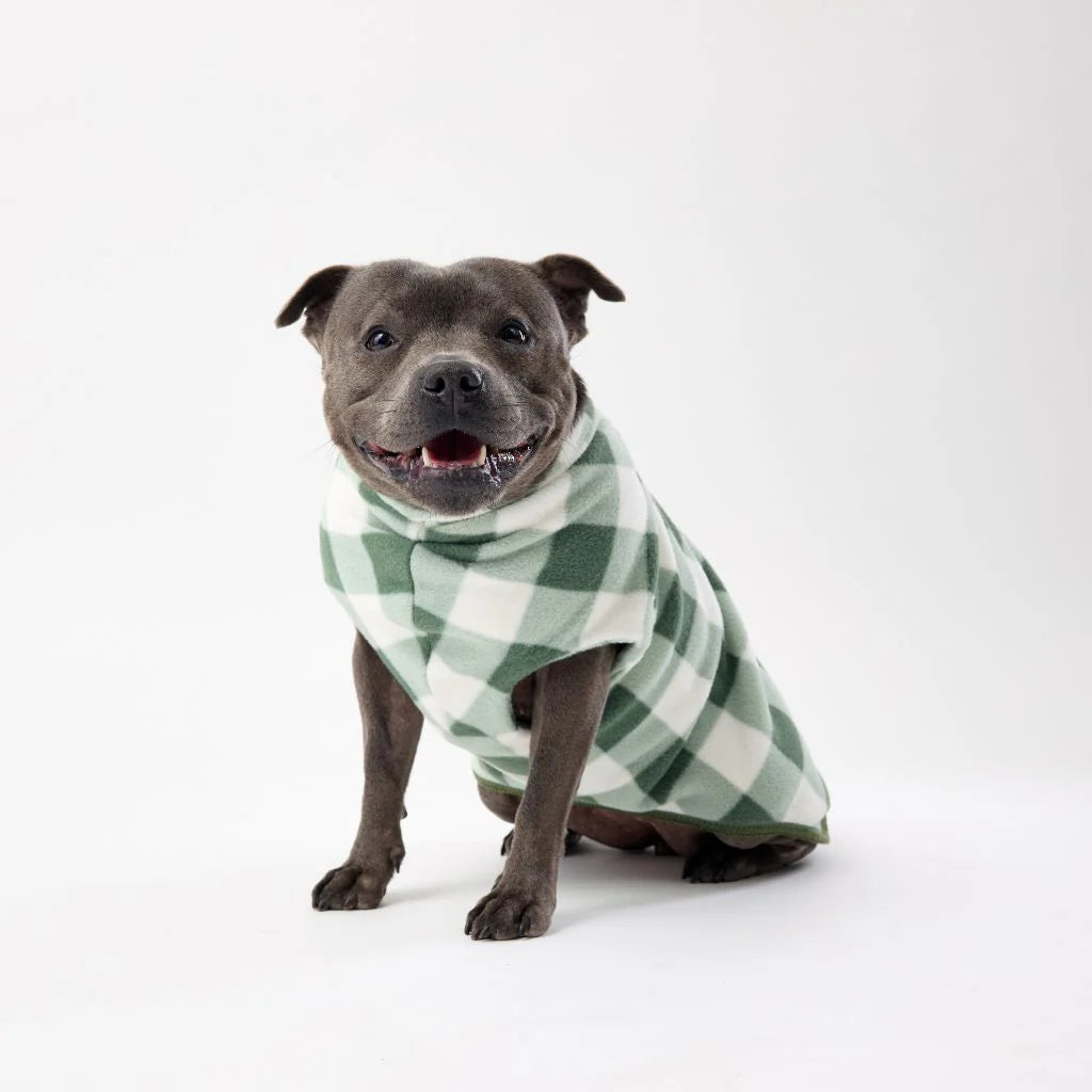 Floofy Fleece Dog Coat | Green