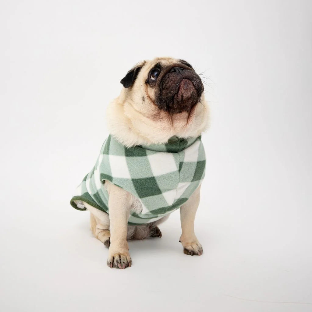 Floofy Fleece Dog Coat | Green