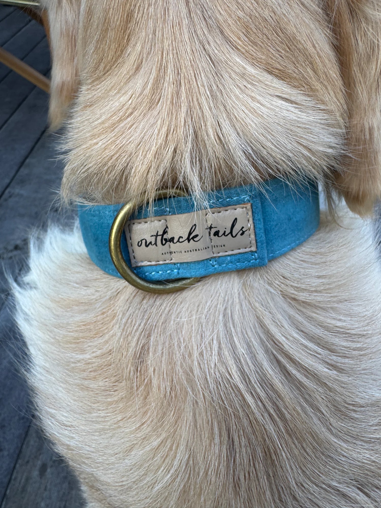 Waxed Canvas Dog Collar - Blue