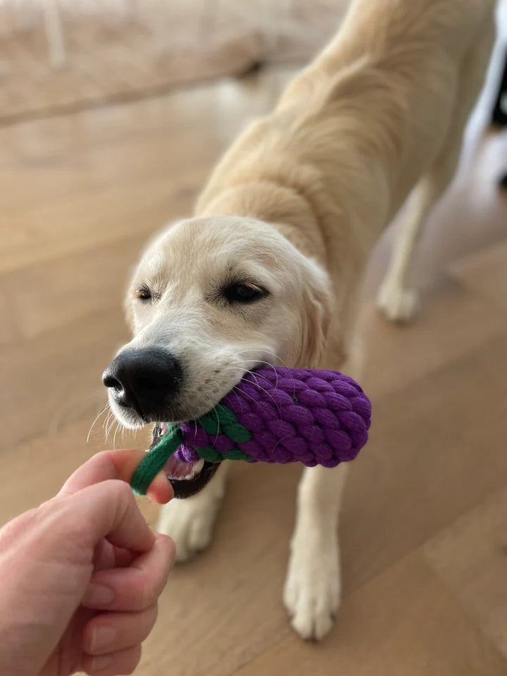 Country Tails Rope Toy - Eggplant