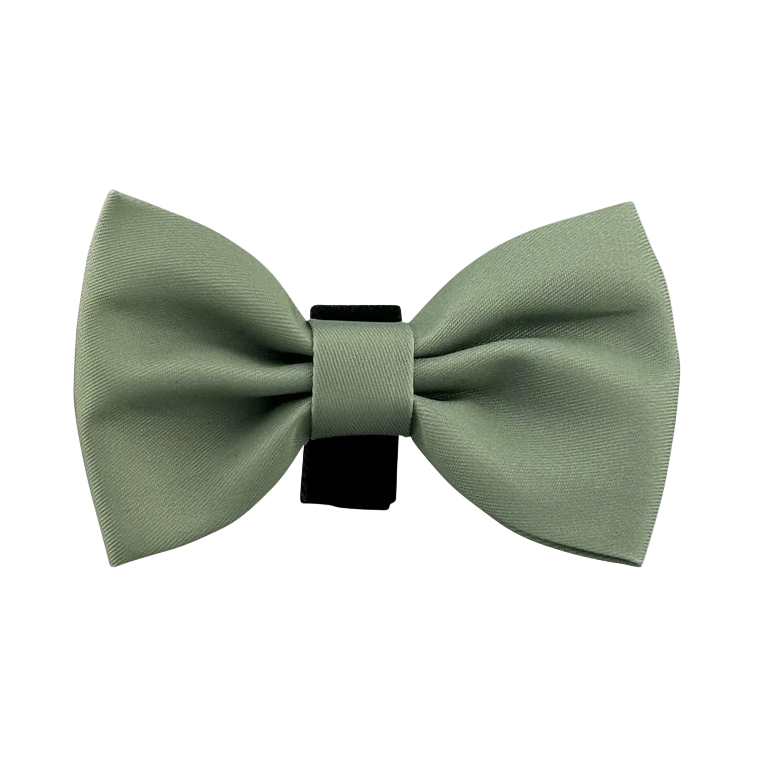 JBC Bowtie: Sage