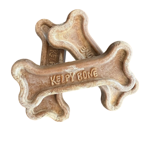 Kelpy Bone - Sustainable Chew