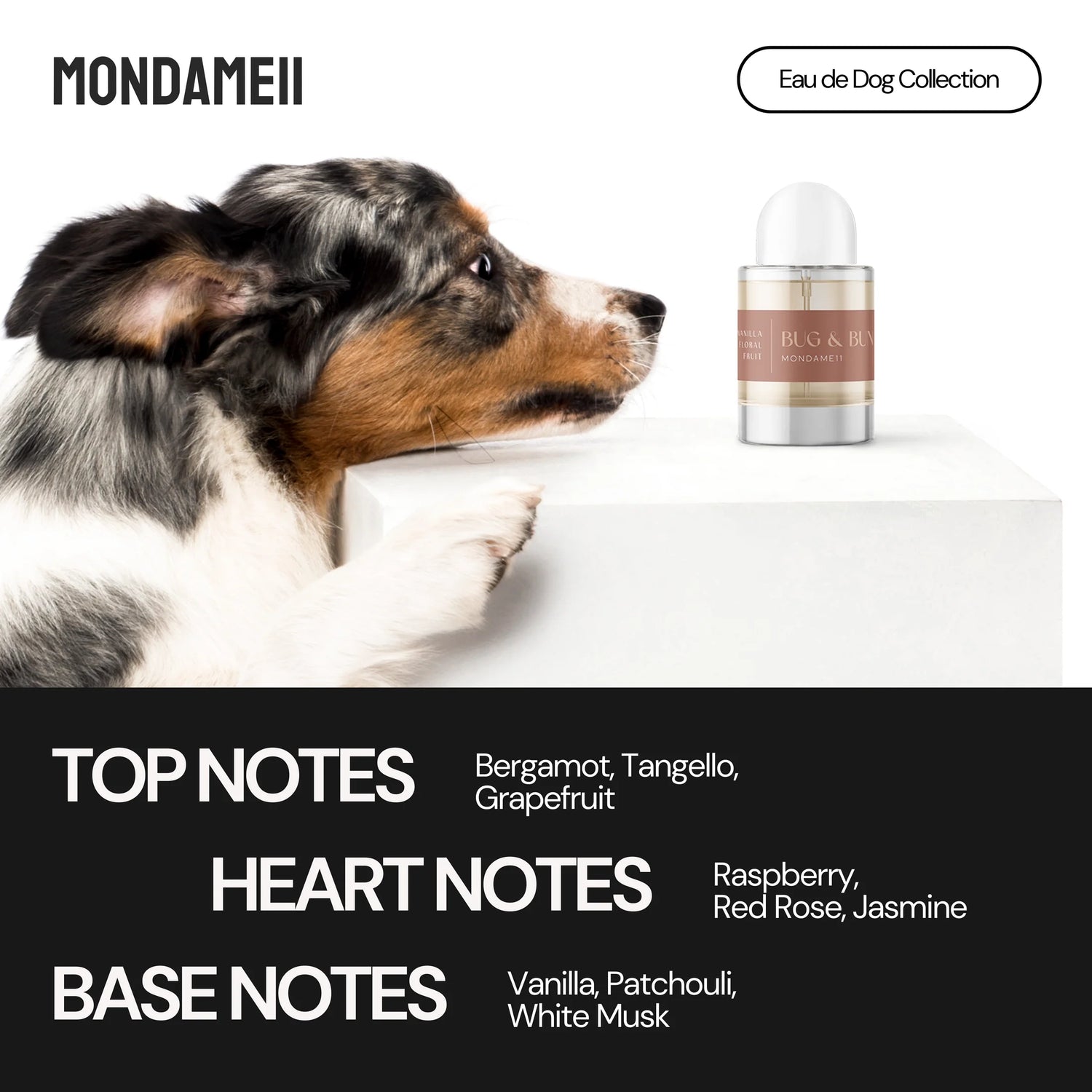 Mondame11 - 50ml Dog Fragrance