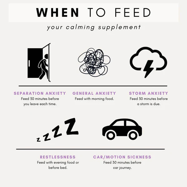 Stress + Anxiety for Dogs