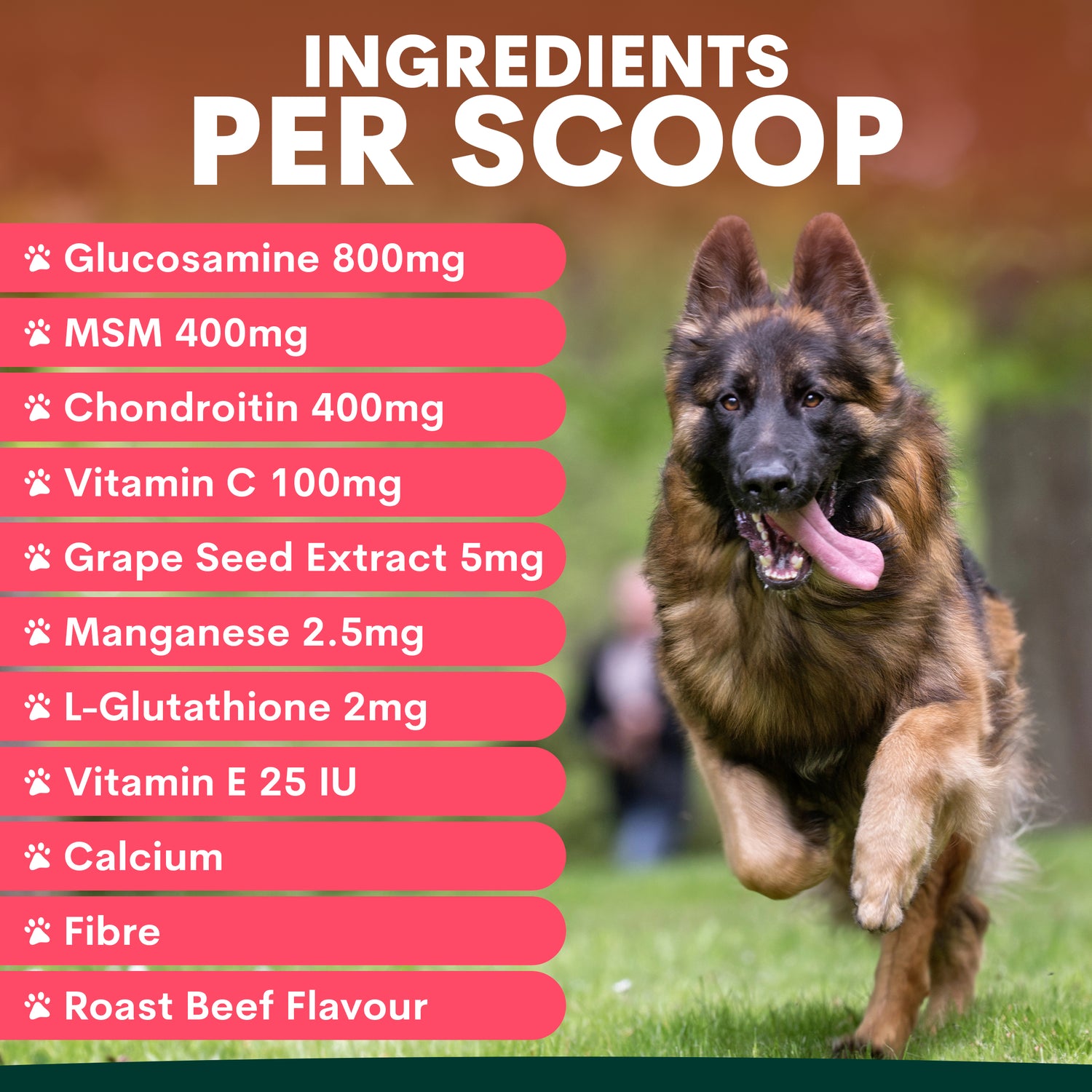 Petz Park Hip + Joint for Dogs
