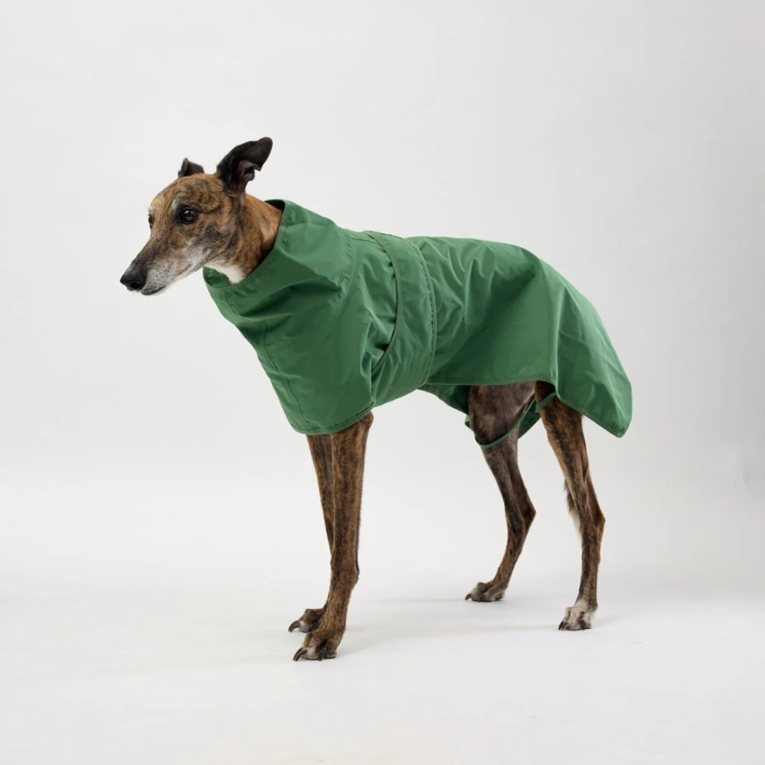 Light Weight Dog Raincoat | Green
