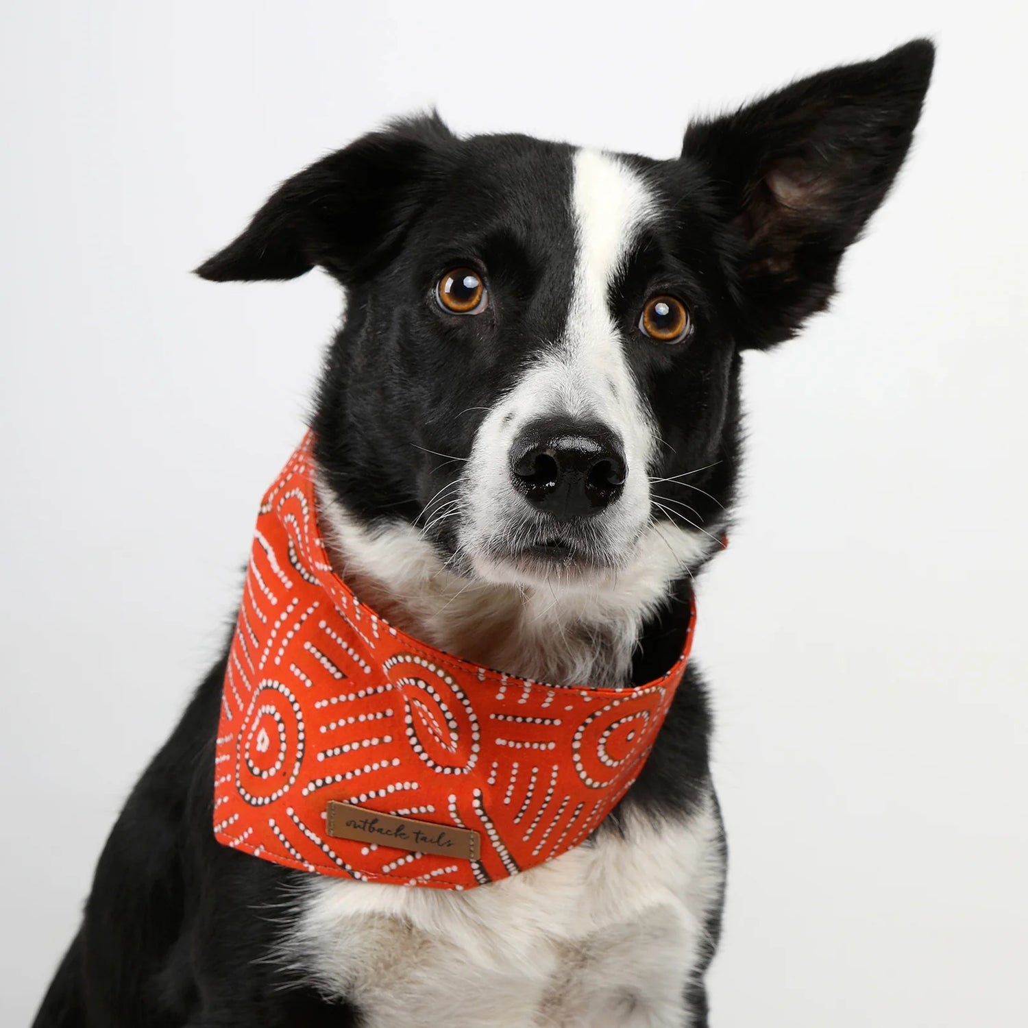 Outback Tails Dog Bandana - Water Dreaming