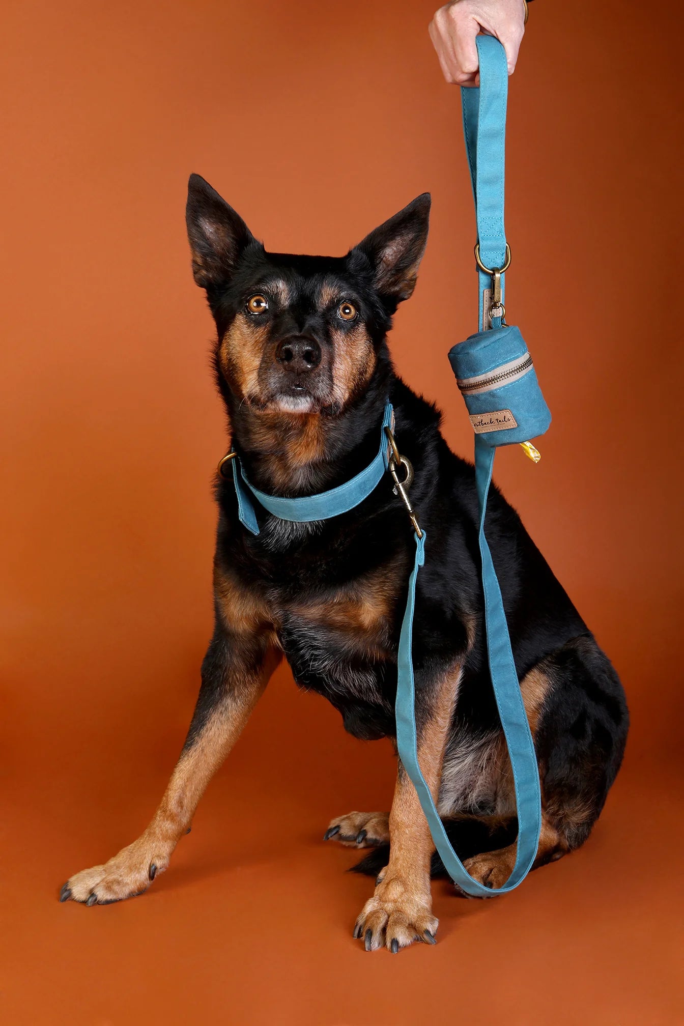 Waxed Canvas Dog Lead