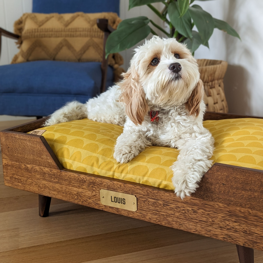 Once Over Raised Dog Bed - Main Image