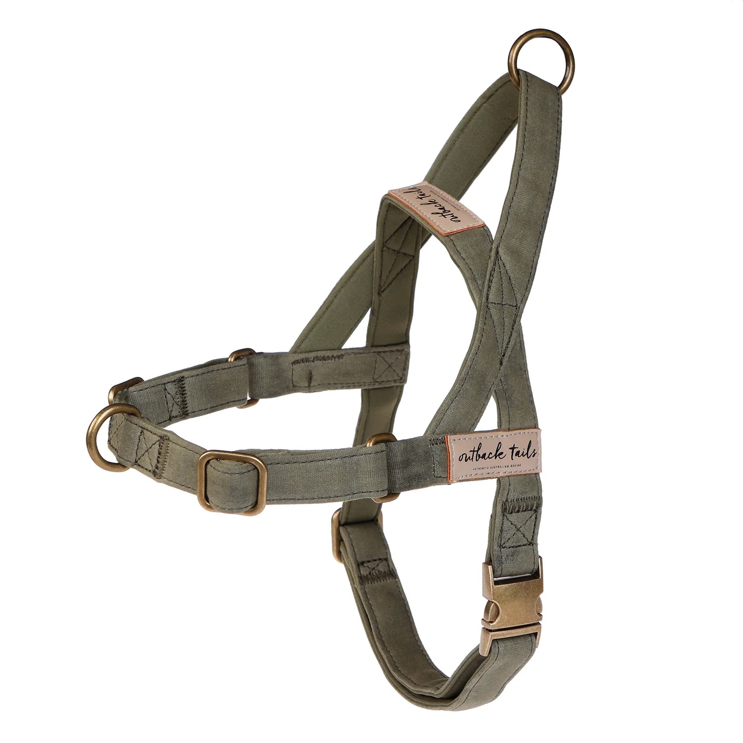 Waxed Canvas Dog Harness - Green