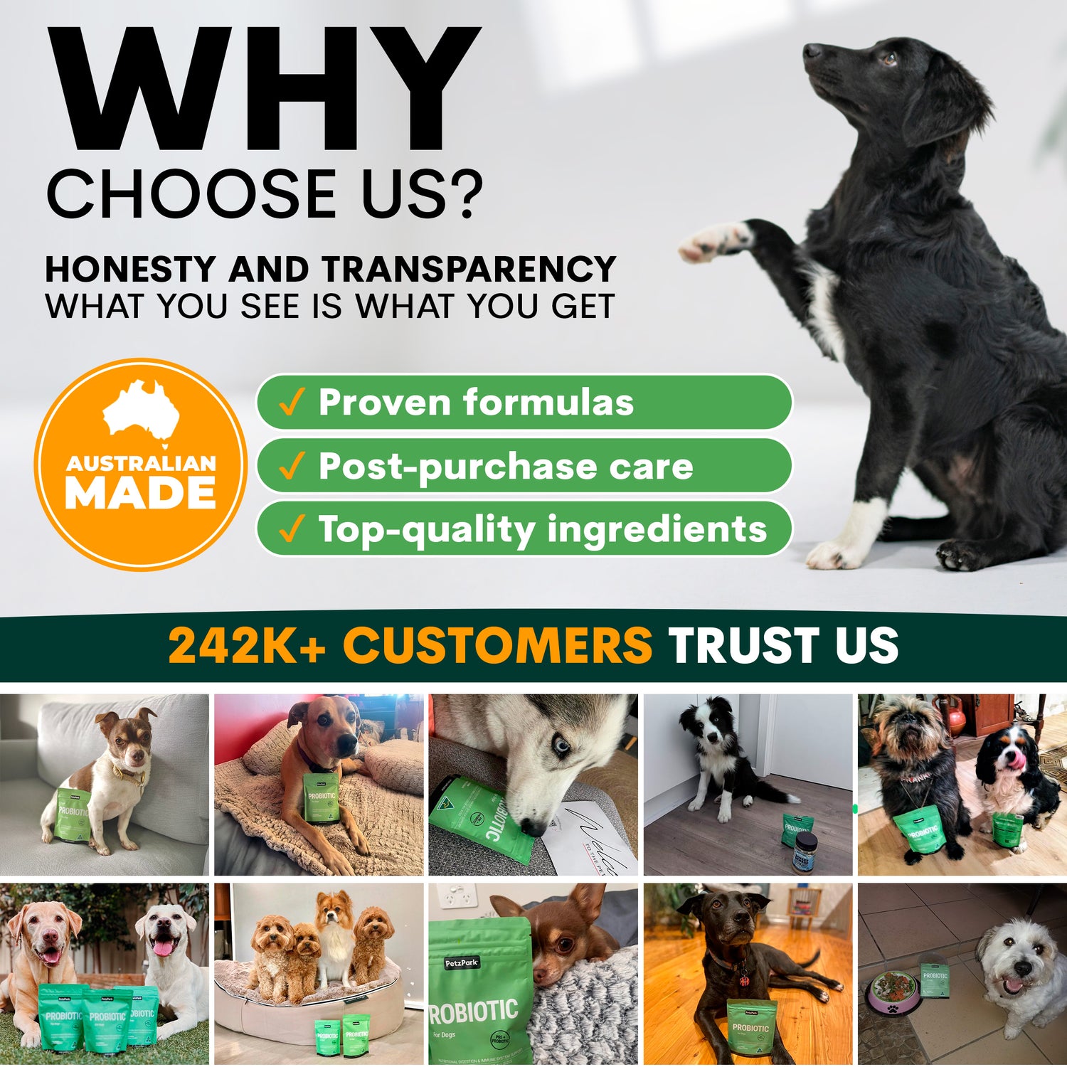 Petz Park Probiotic for Dogs