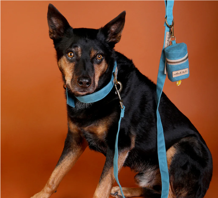 Outback Tails Waxed Canvas Dog Lead - Clay