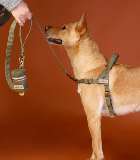 Outback Tails Waxed Canvas Dog Lead - Clay