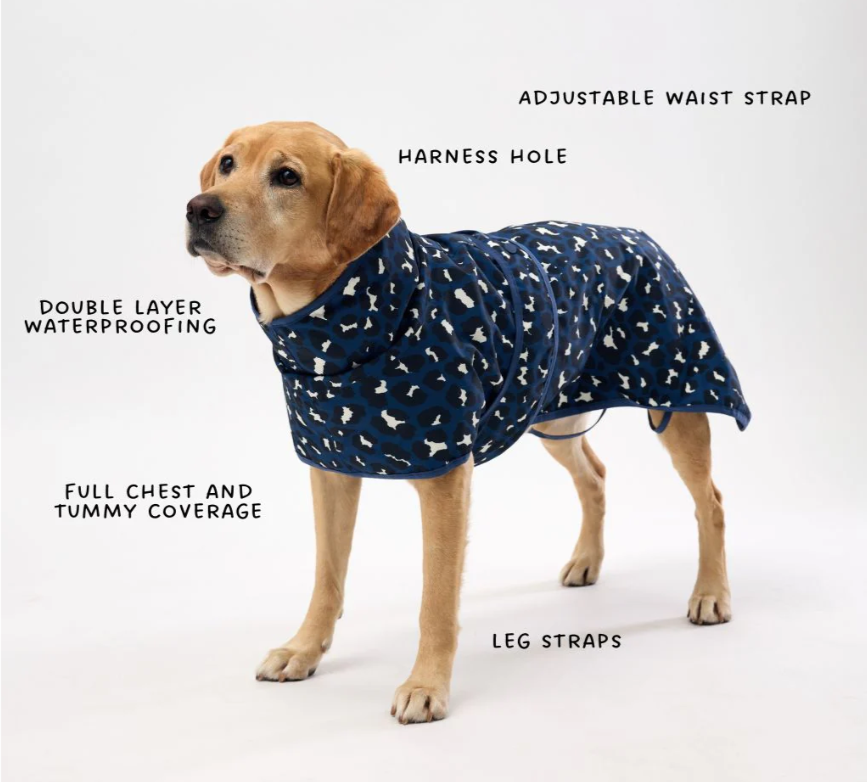 Dog wearing a blue raincoat with features labeled on a white background