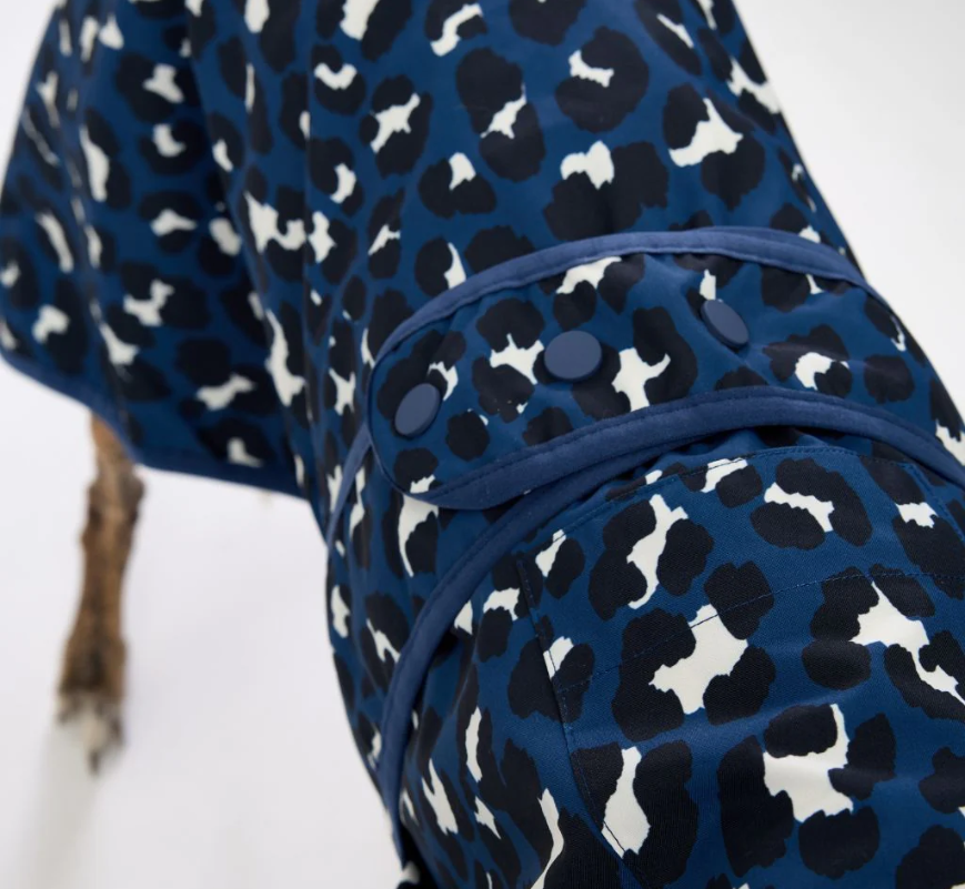 Blue pet coat with black and white pattern on a dog