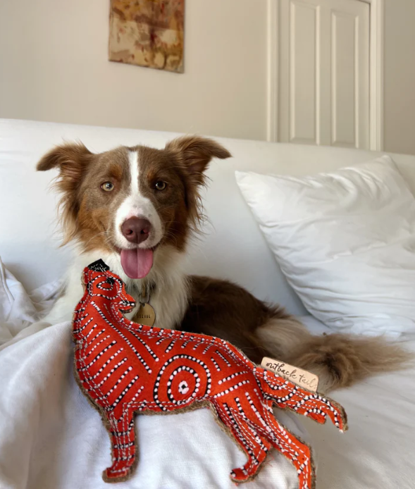 Desert Dog Red Man - Dog Chew Toy