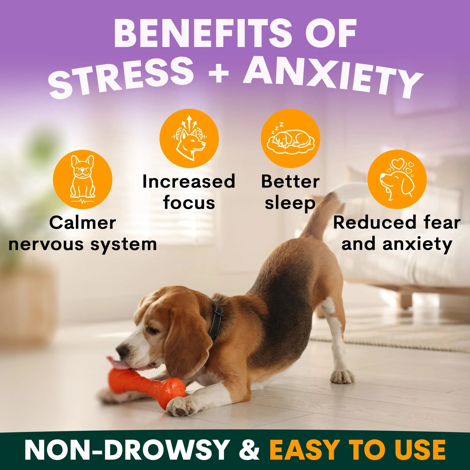 Petz Park Stress + Anxiety for Dogs