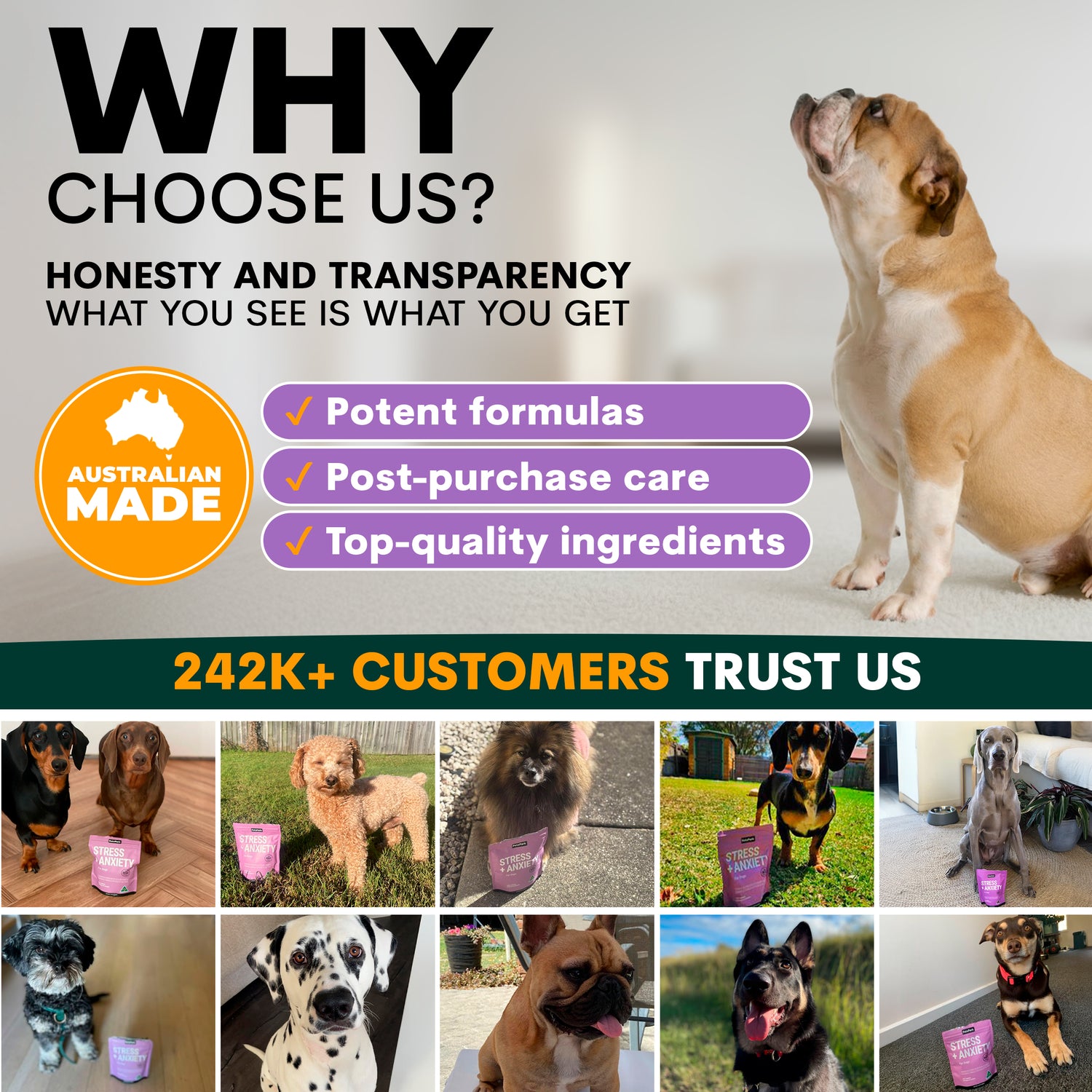 Petz Park Stress + Anxiety for Dogs