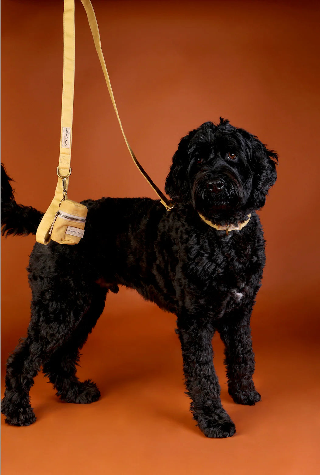 Waxed Canvas Dog Lead