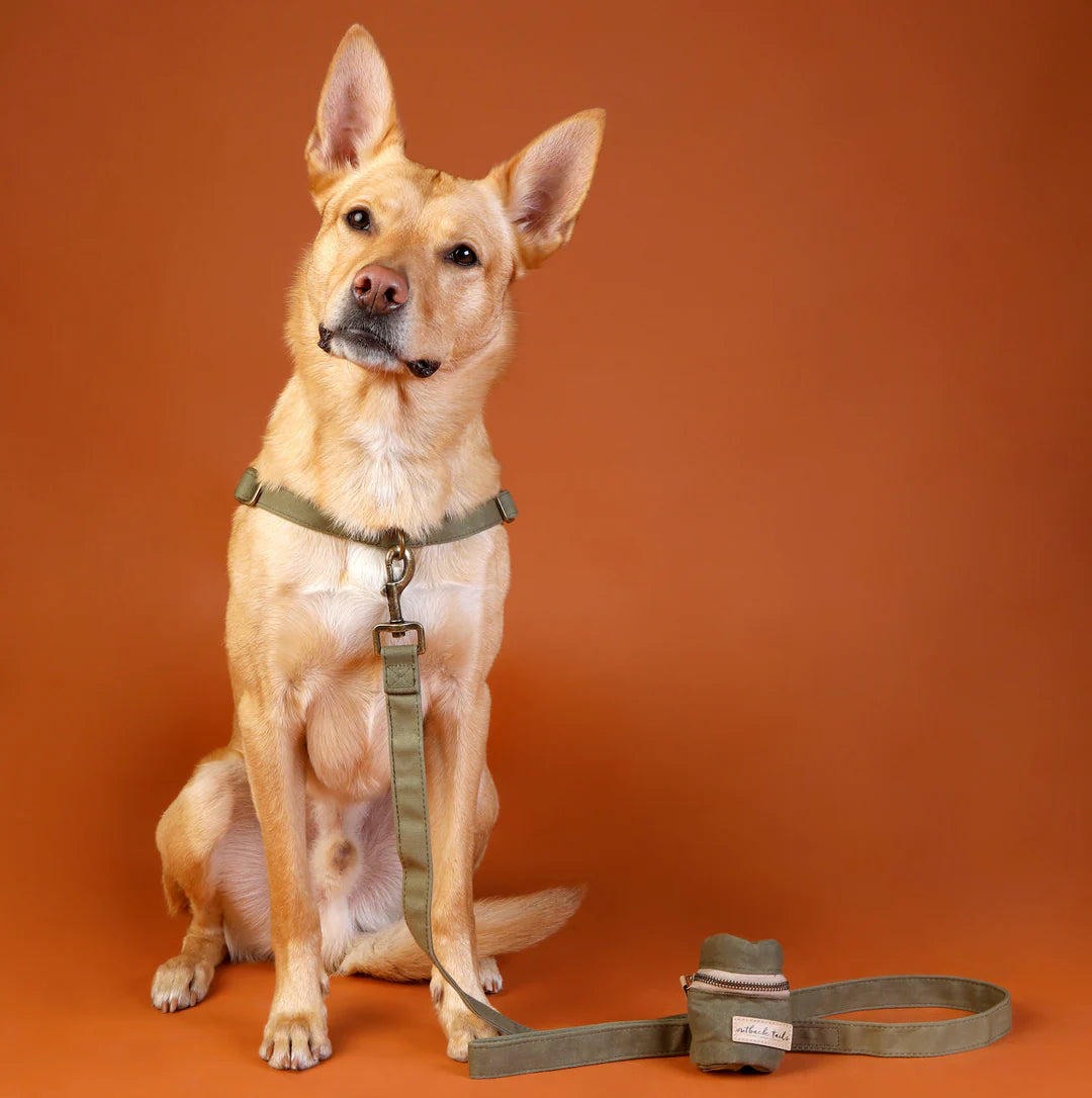 Waxed Canvas Dog Lead