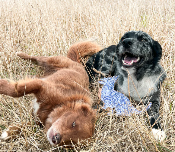 Desert Dog Stinky - Dog Chew Toy