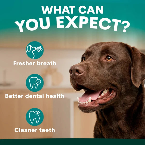 Petz Park Fresh Breath Dog Drops