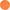 Extra Small / Orange Burst