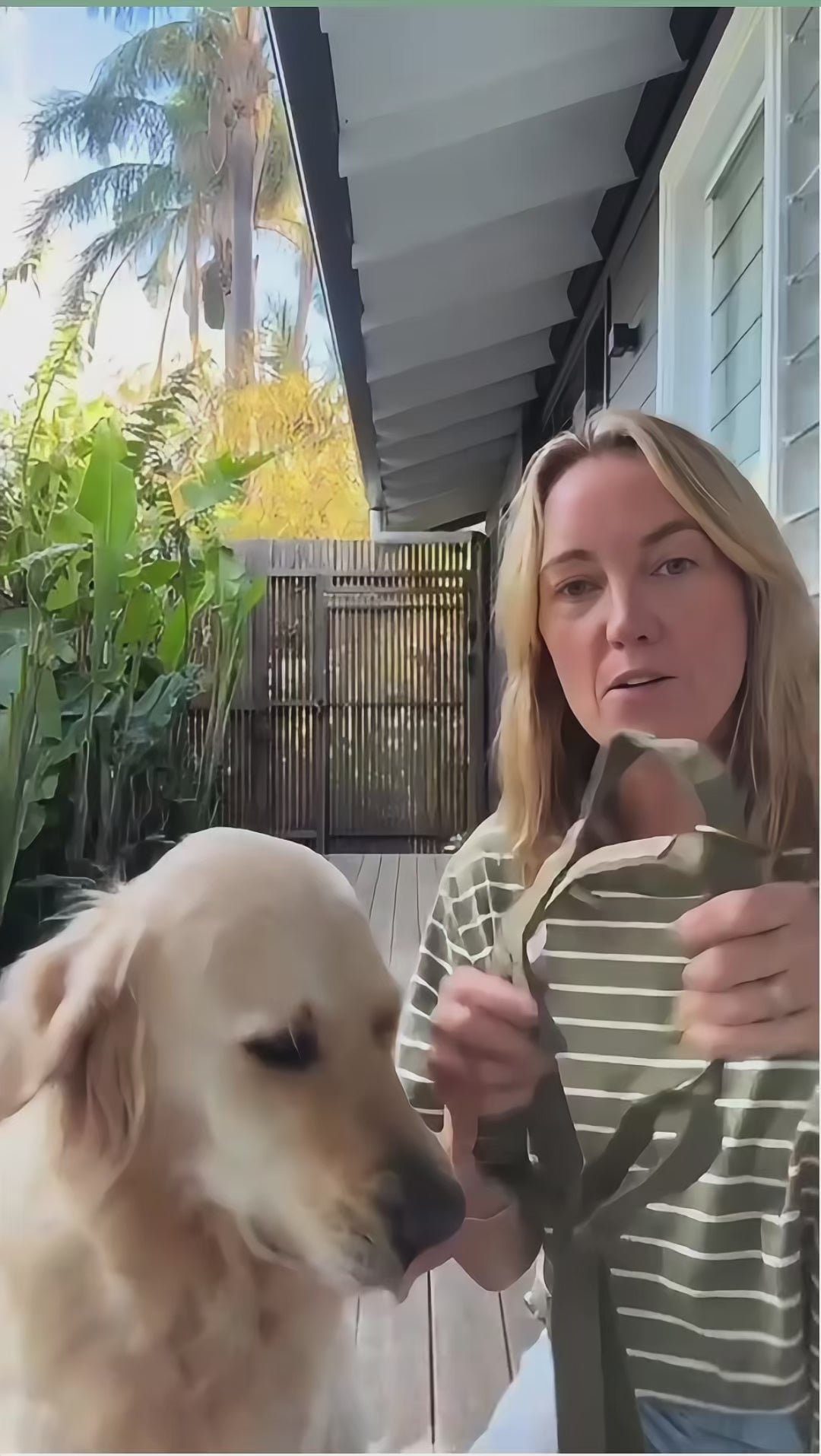 Waxed Canvas Dog Harness - Green