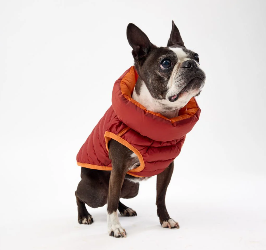 Snoot Style Winterproof Reversible Puffer - Orange & Red