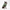 Snoot Style Winterproof Reversible Puffer - Green Print