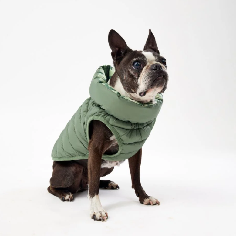 Snoot Style Winterproof Reversible Puffer - Green Print