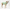 Snoot Style Winterproof Reversible Puffer - Green Print